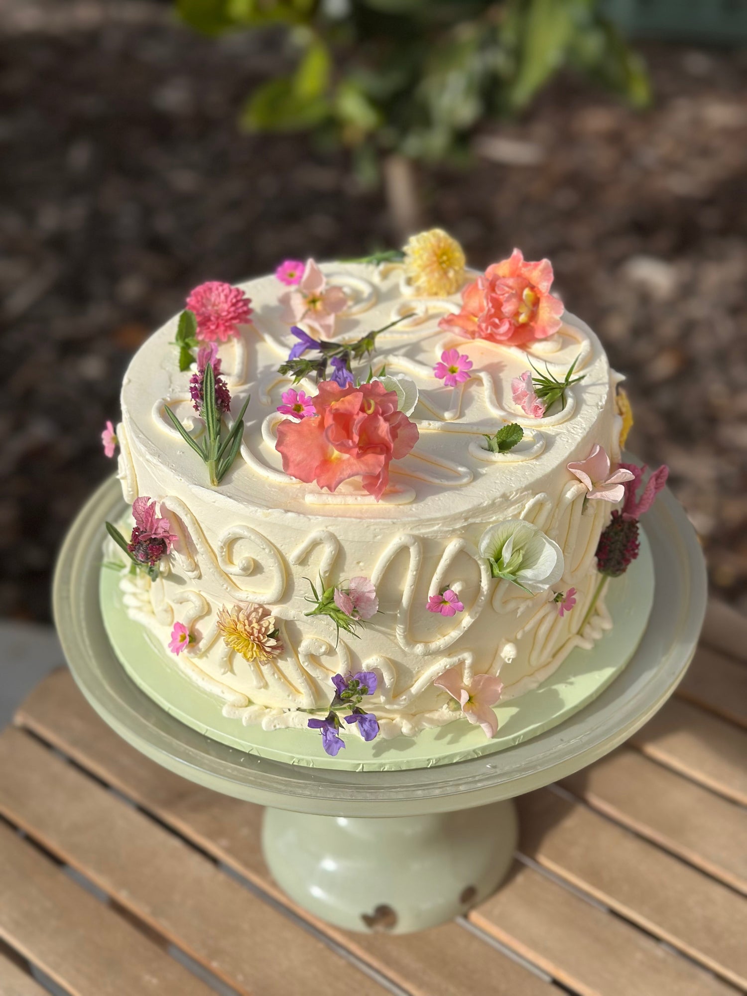 Whole Cakes